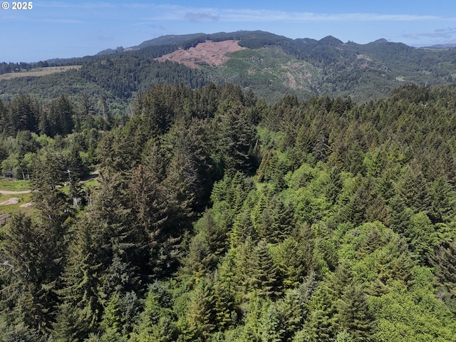 20452 Whaleshead Rd, Brookings, OR 97415