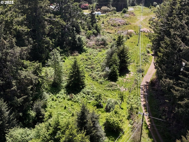 20452 Whaleshead Rd, Brookings, OR 97415
