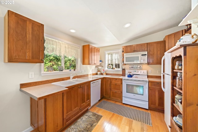 kitchen featuring brown cabinetry, a sink, light wood-style flooring, and white appliances