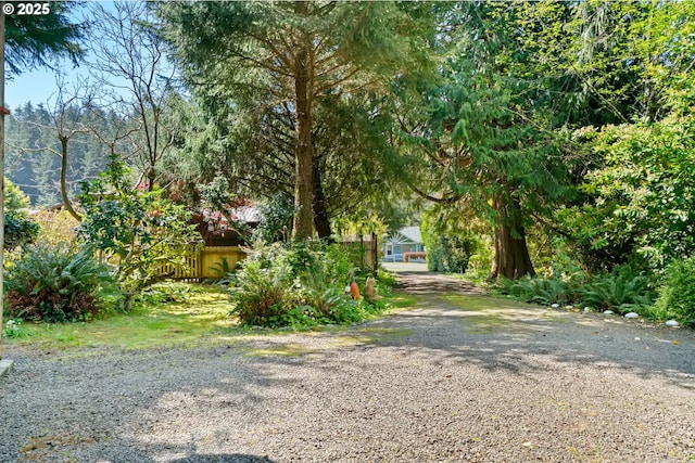 view of street with gravel driveway