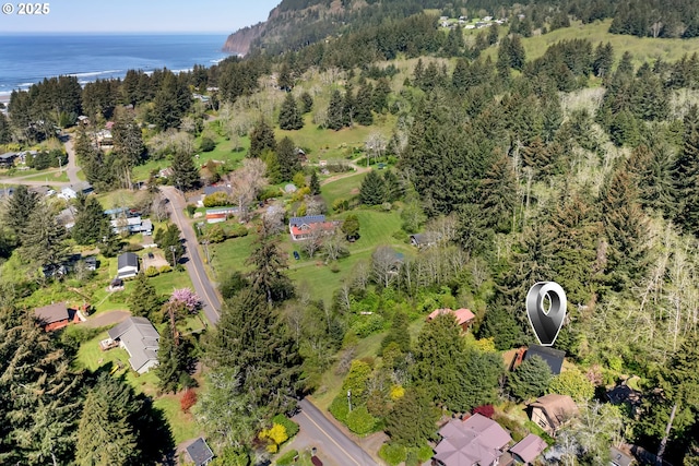 aerial view with a view of trees and a water view