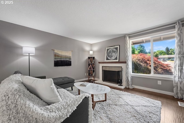 11595 SW Fairview Ln, Tigard, OR 97223 - living area with baseboards, wood finished floors, a textured ceiling, and a fireplace with raised hearth
