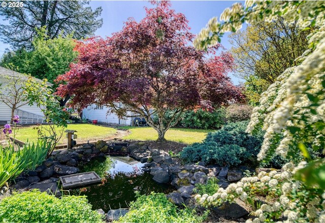 view of yard with a small pond