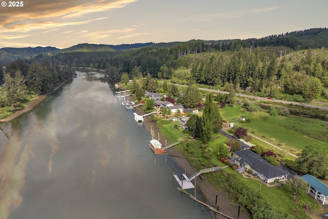 9202 Phey Ln, Florence, OR 97439 - aerial view at dusk with a forest view and a water and mountain view