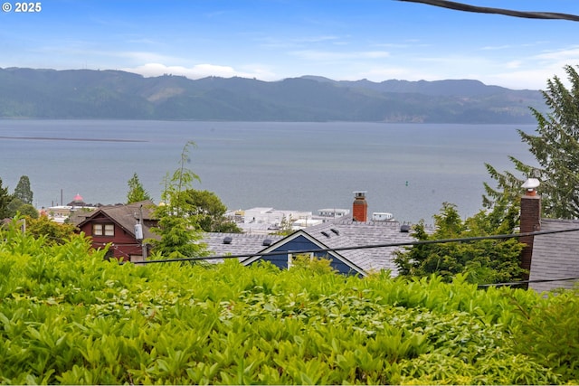 1228 11th St, Astoria, OR 97103 - water view with a mountain backdrop