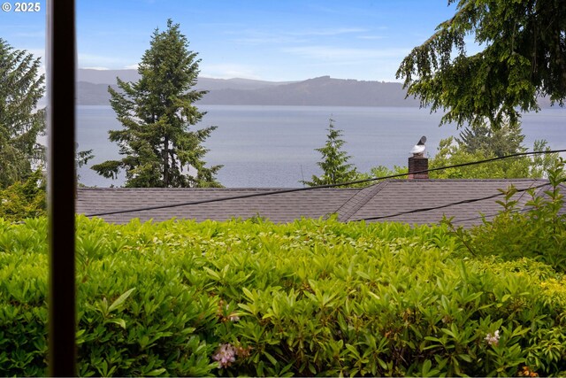 1228 11th St, Astoria, OR 97103 - water view featuring mountains