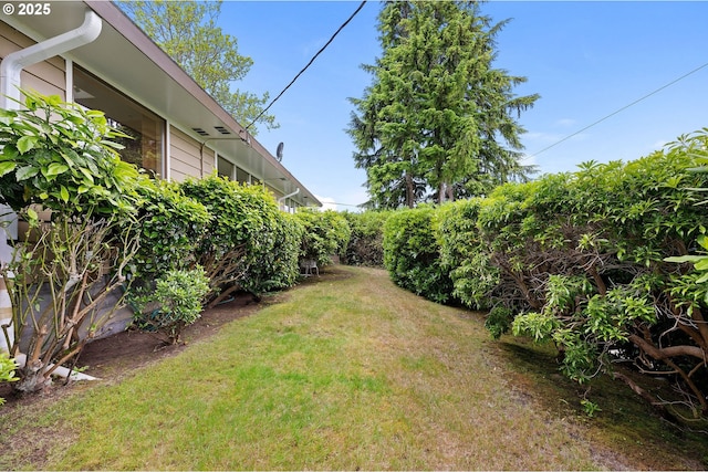 1228 11th St, Astoria, OR 97103 - view of green lawn