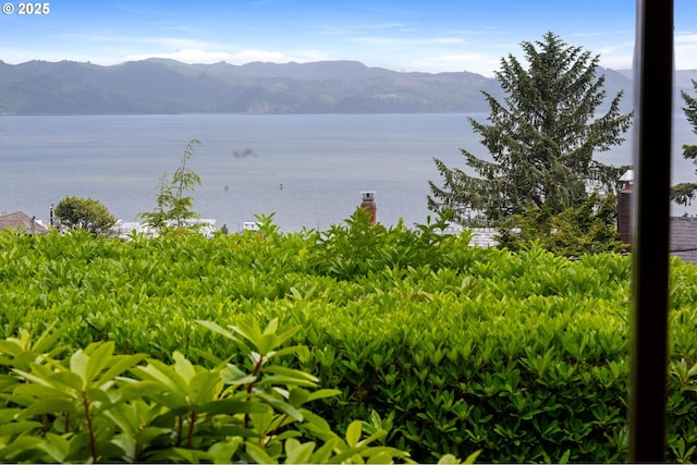 1228 11th St, Astoria, OR 97103 - water view with mountains