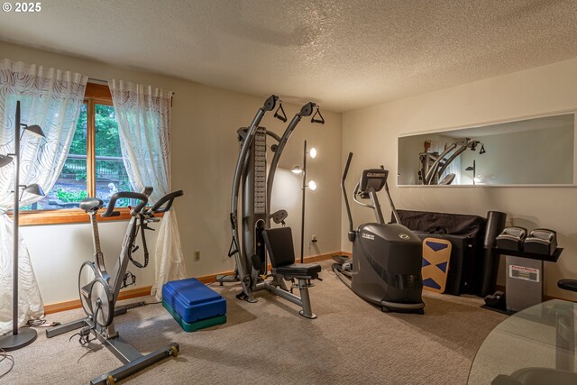 11 Da Vinci St, Lake Oswego, OR 97035 - workout room featuring a textured ceiling, carpet flooring, and baseboards