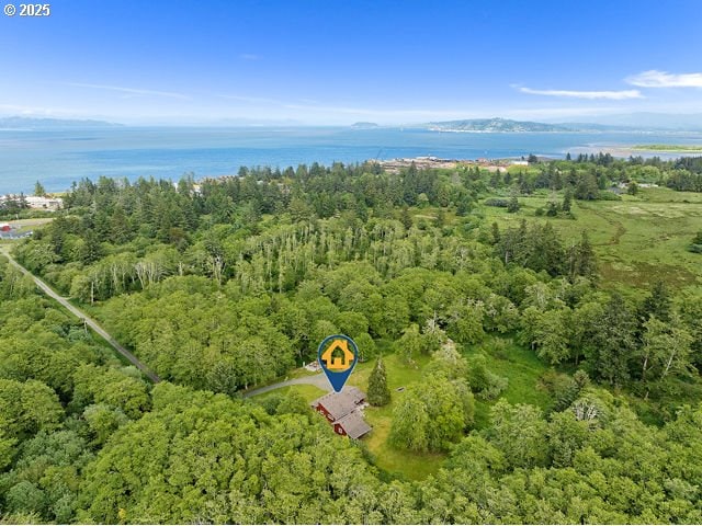 290 12th Ave, Hammond, OR 97121 - aerial view of property's location with a heavily wooded area and a nearby body of water