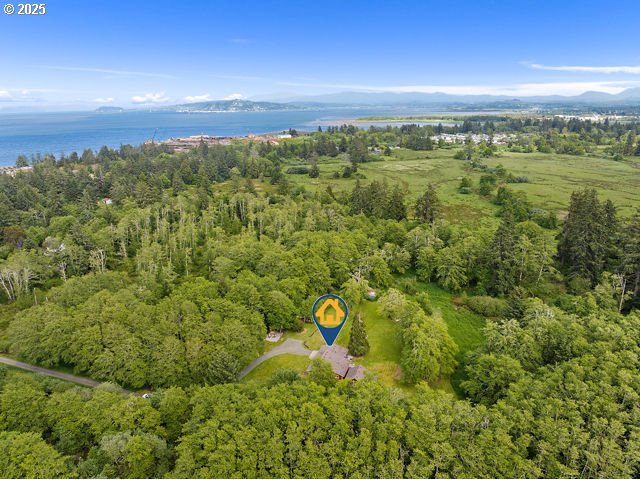 290 12th Ave, Hammond, OR 97121 - aerial view of property's location featuring a water and mountain view and a forest