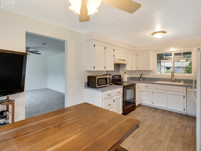 kitchen with electric range, a sink, under cabinet range hood, stainless steel microwave, and ceiling fan