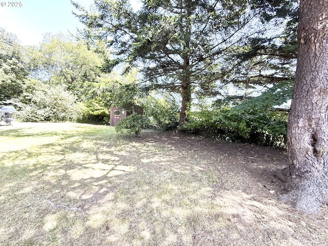 2011/2013 Ohio Ave, North Bend, OR 97459 - view of yard with a storage shed