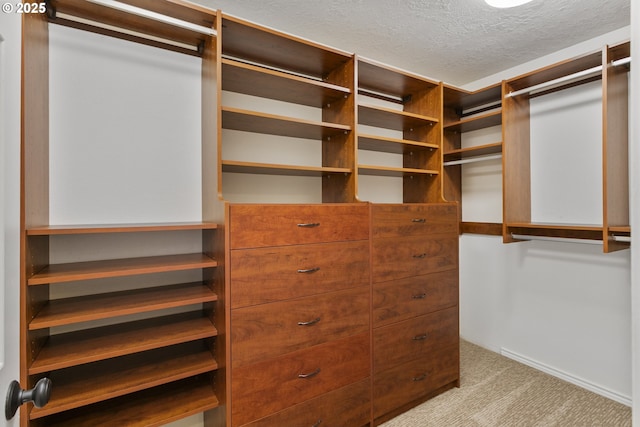 13555 SW Hiteon Ct, Beaverton, OR 97008 - spacious closet featuring carpet flooring