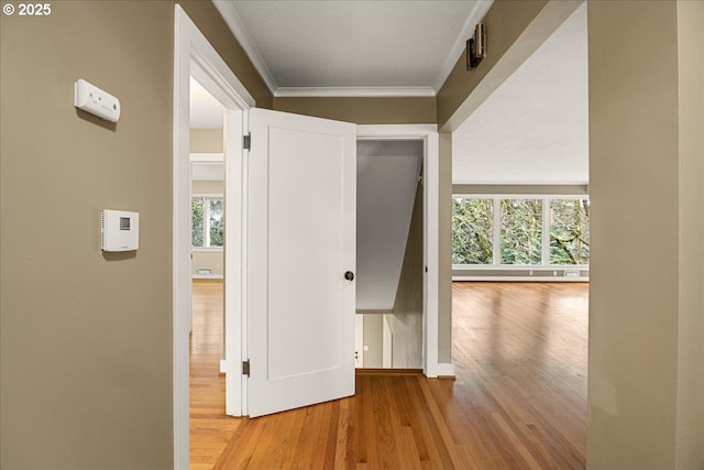 hall with ornamental molding and wood finished floors