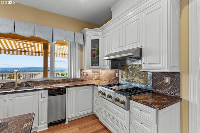 9337 SE Pennington Ct, Happy Valley, OR 97086 - kitchen with stainless steel gas stovetop, under cabinet range hood, a sink, white cabinets, and tasteful backsplash
