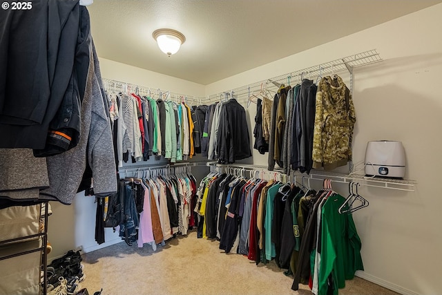 spacious closet with light colored carpet