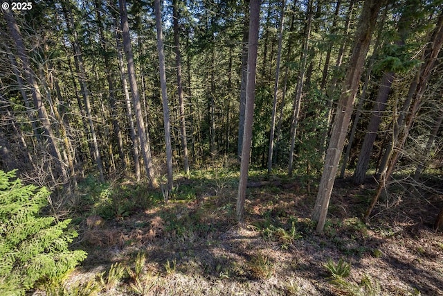 view of nature featuring a forest view