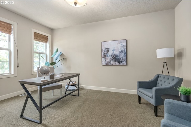 home office with a textured ceiling, carpet, and baseboards