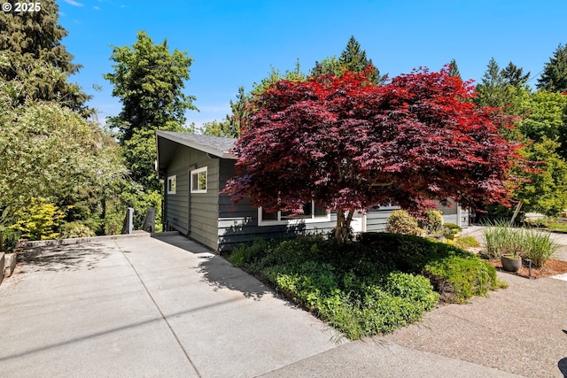 7750 SW 4th Ave, Portland, OR 97219 - view of property hidden behind natural elements featuring driveway