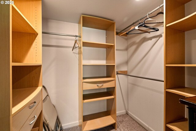 7750 SW 4th Ave, Portland, OR 97219 - spacious closet with carpet
