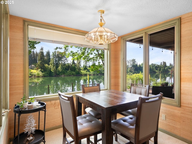6600 SW Montgomery Way, Wilsonville, OR 97070 - carpeted dining space featuring a chandelier, healthy amount of natural light, a water view, wooden walls, and a textured ceiling