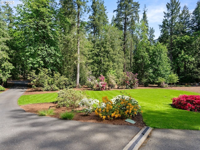 6600 SW Montgomery Way, Wilsonville, OR 97070 - view of home's community featuring a yard