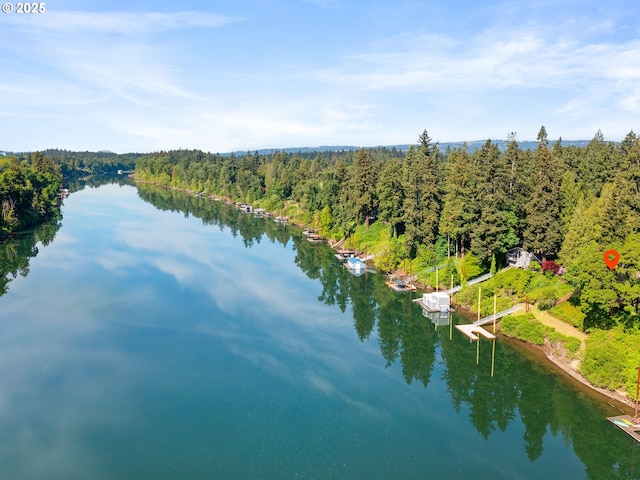6600 SW Montgomery Way, Wilsonville, OR 97070 - water view with a forest and a dock