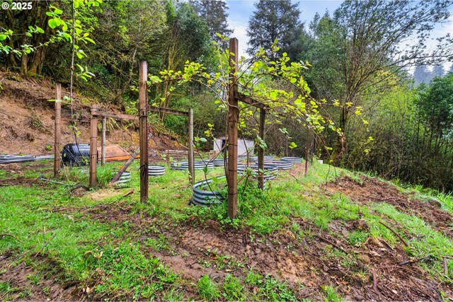 view of yard featuring a garden