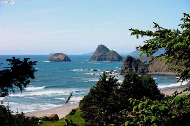 25500 Cape View Loop, Gold Beach, OR 97444 - water view