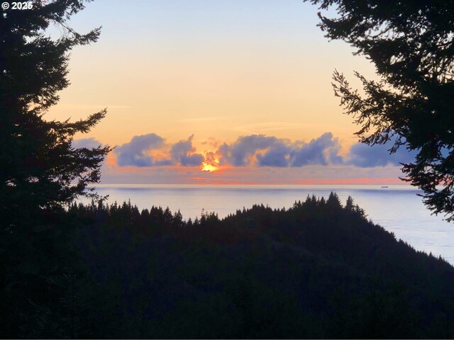 25500 Cape View Loop, Gold Beach, OR 97444 - water view