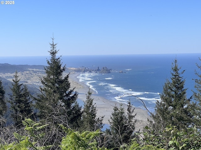 25500 Cape View Loop, Gold Beach, OR 97444 - living room with french doors and hardwood / wood-style flooring