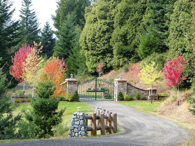 25500 Cape View Loop, Gold Beach, OR 97444 - detailed view of a fireplace, wood finished floors, and recessed lighting