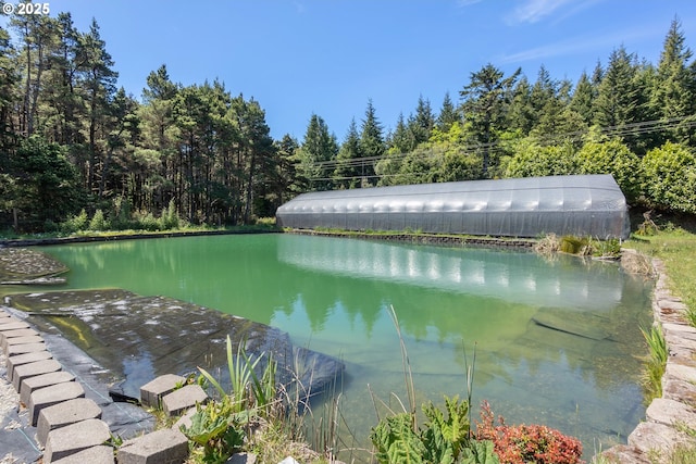 water view with a heavily wooded area