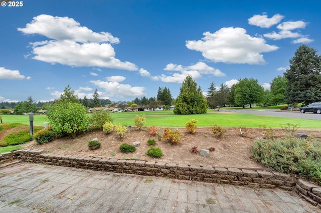 view of home's community with a yard