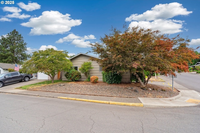 view of property hidden behind natural elements with a garage and driveway