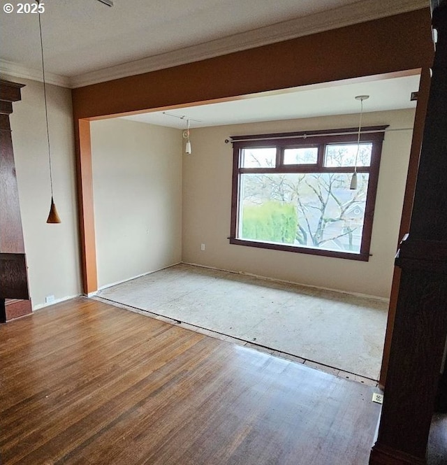 spare room with wood finished floors and ornamental molding