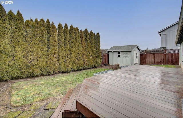 deck with a storage unit and a lawn