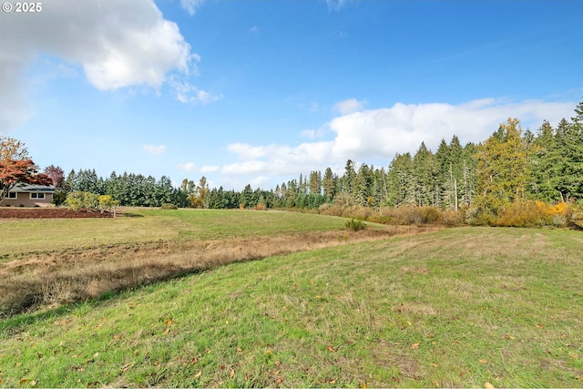 view of yard featuring a rural view