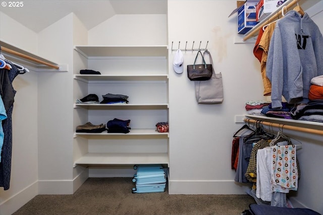 spacious closet with carpet