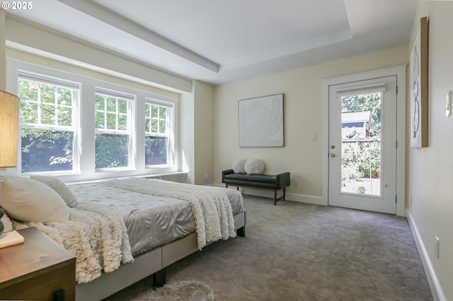 carpeted bedroom with multiple windows, access to exterior, baseboards, and a raised ceiling