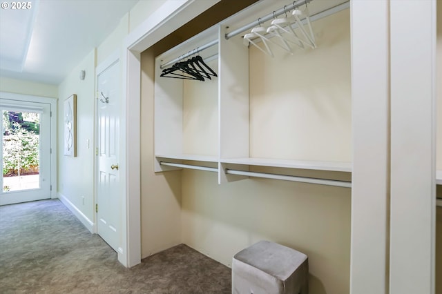 view of closet
