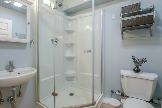 full bathroom with toilet, a shower stall, and a sink