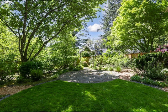 view of yard featuring a patio
