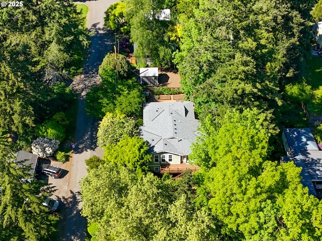 bird's eye view