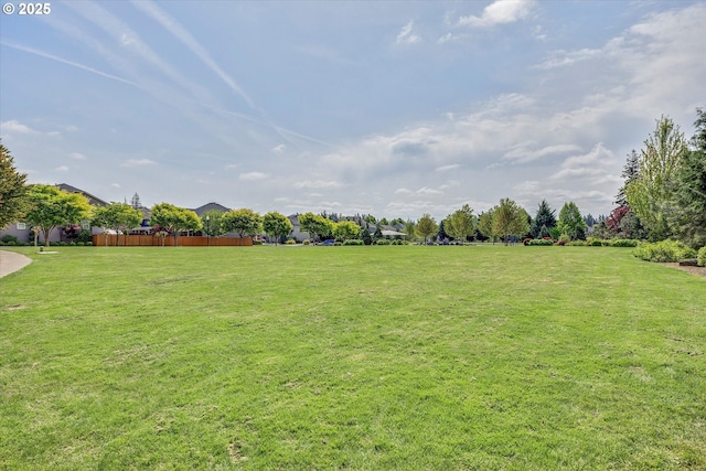 view of yard