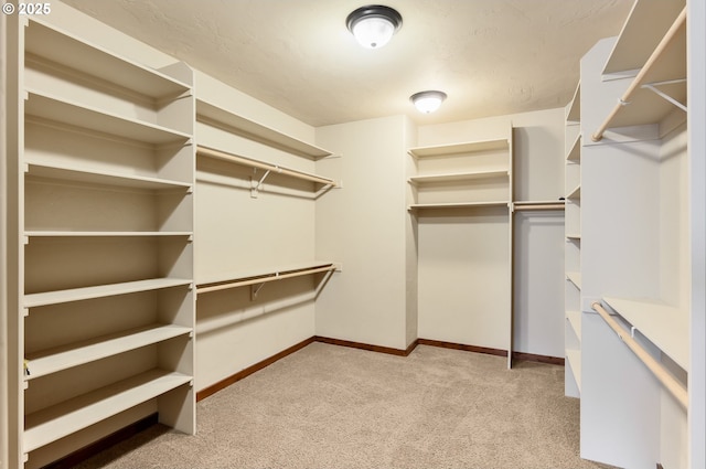 8585 NW Copeland St, Portland, OR 97229 - walk in closet featuring light colored carpet