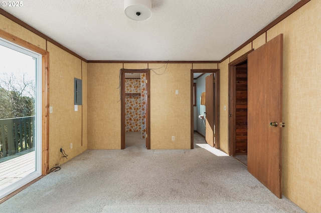 carpeted spare room featuring electric panel, a textured ceiling, and ornamental molding