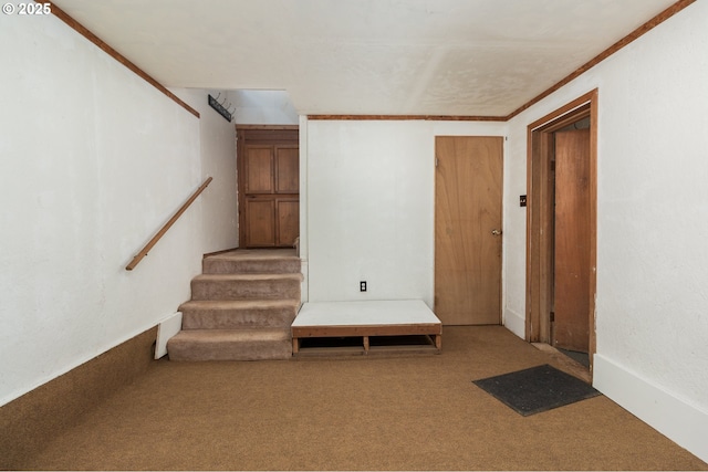 stairs with carpet and crown molding