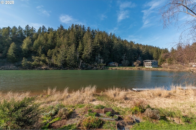 water view with a wooded view